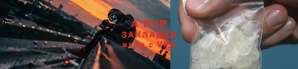 СК Аркадак