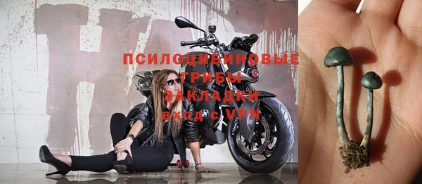 СК Аркадак