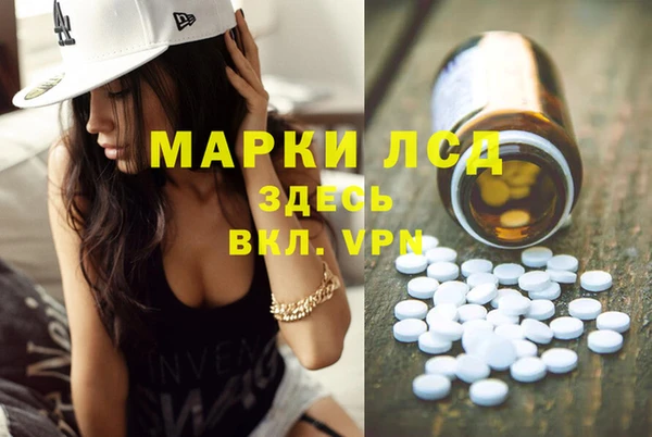 СК Аркадак