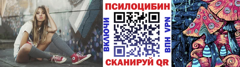 Галлюциногенные грибы мицелий  хочу   Покров 